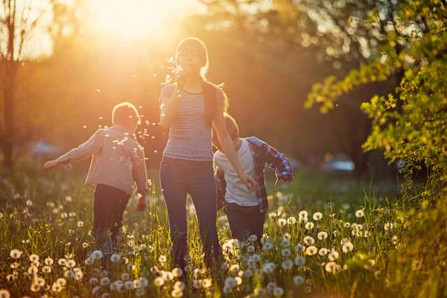 Adulte et enfants marchant dans une prairie fleurie au soleil.