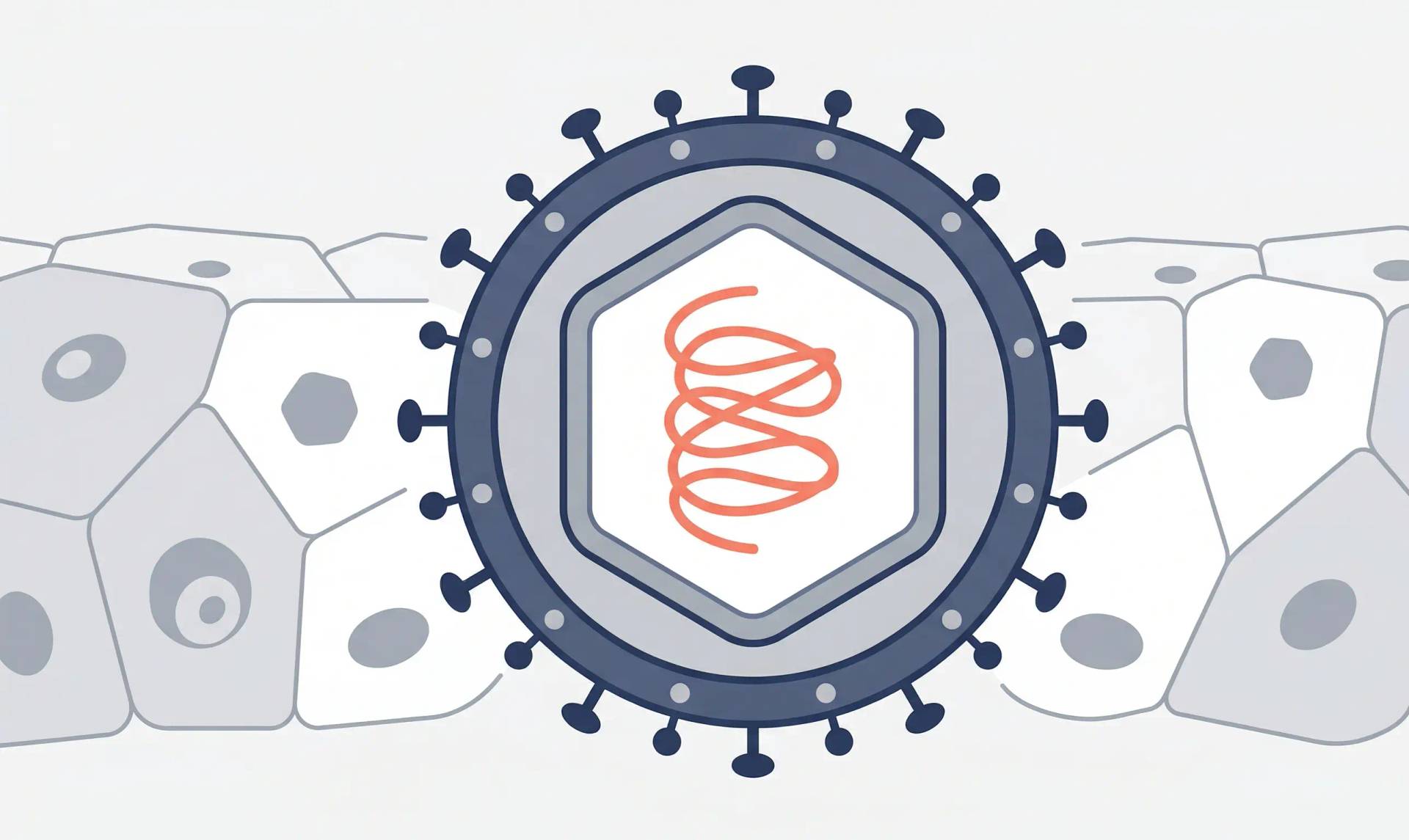 Illustration stylisée d’une particule virale entourée de cellules.