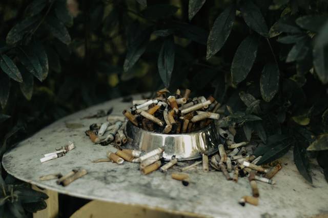 Un tas de mégots de cigarettes dans un bol en métal entouré de verdure, à l'extérieur