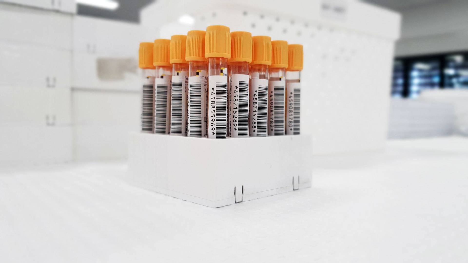 Des tubes de prélèvement étiquetés de codes-barres, rangés dans un portoir de laboratoire avant analyse.