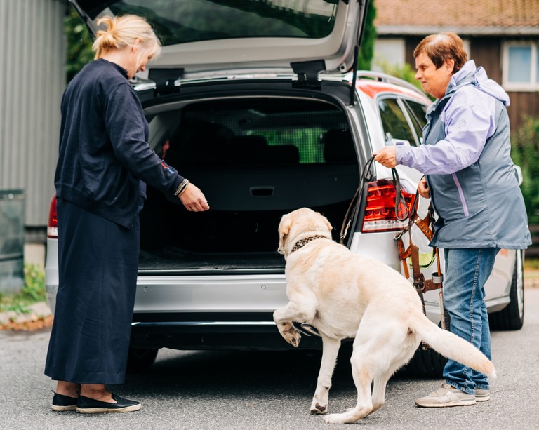 Kvinne med blindehund hjelpes inn i bil