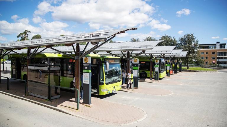 En rekke med grønne busser på en holdeplass