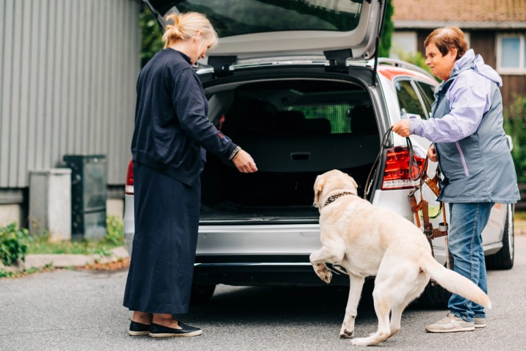 Kvinne med blindehund hjelpes inn i bil