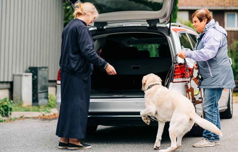 Kvinne med blindehund hjelpes inn i bil