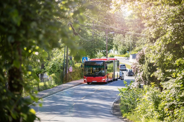 A red bus driving along a road with green trees