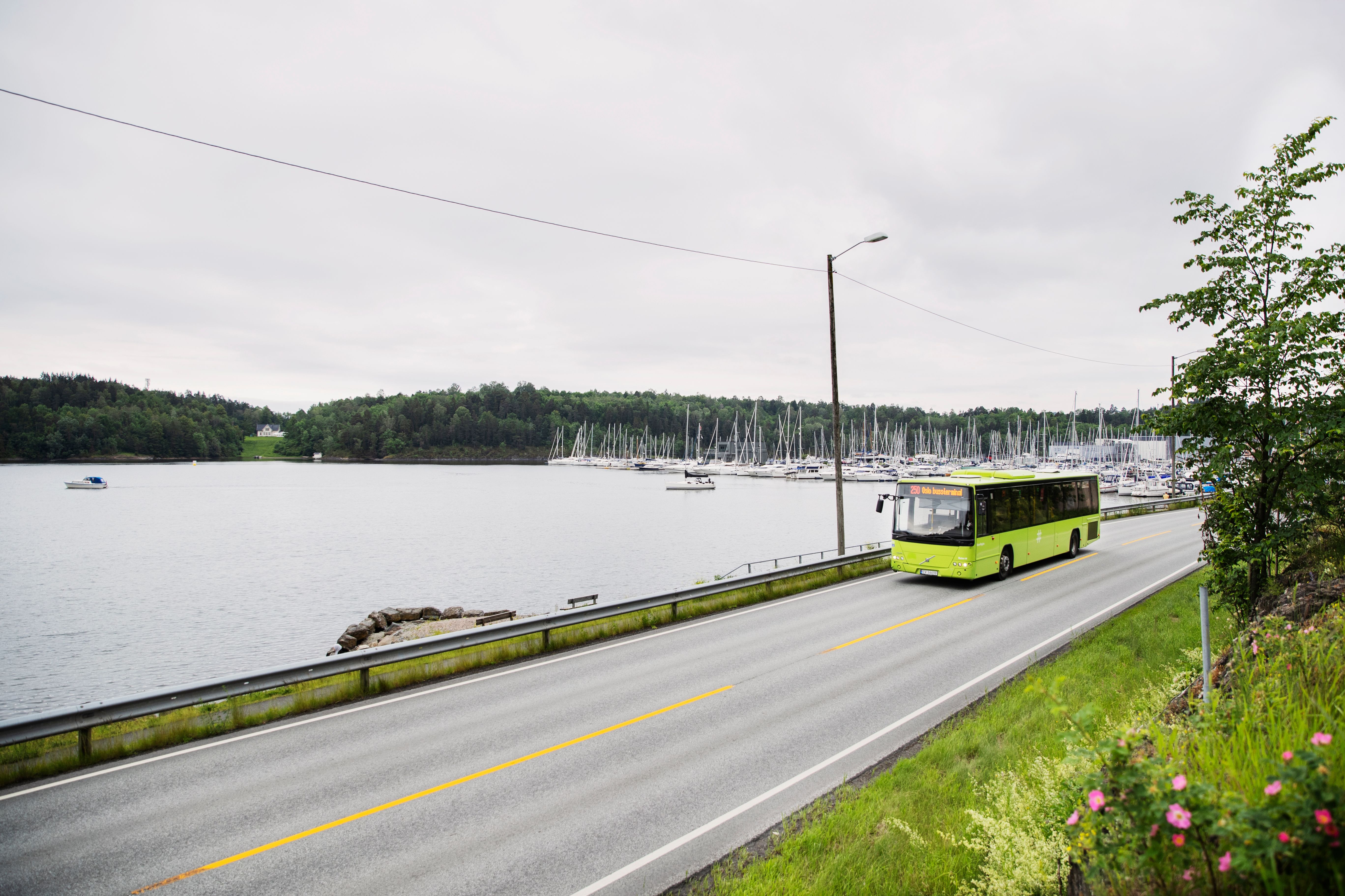 Regional bus out and about on the highway
