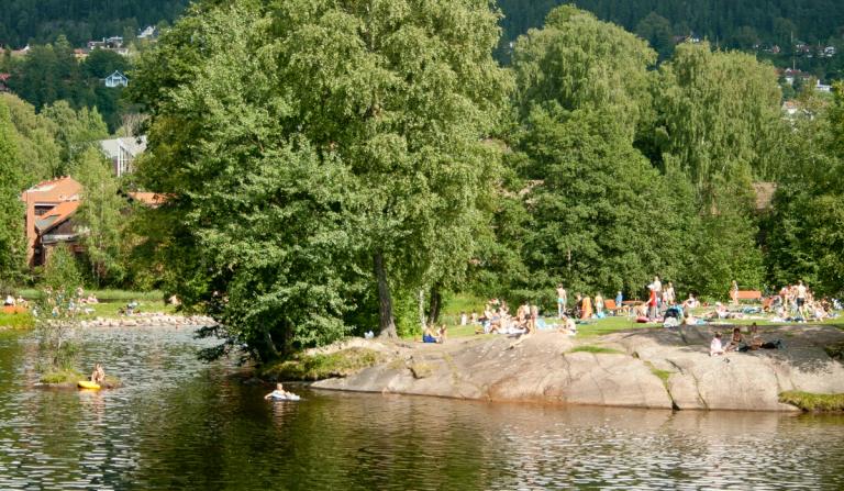 People who are bathing in Brekkedammen during summer
