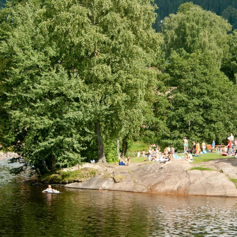 Mennesker som bader i Brekkedammen om sommeren