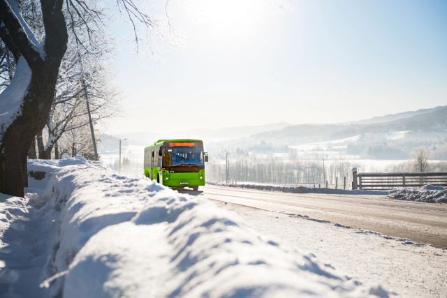 A green Ruter bus is driving through a sunny winterlandscape