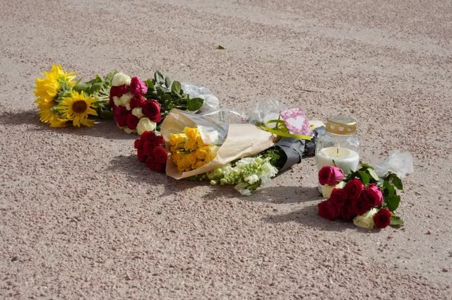 Blomster på slottsplassen