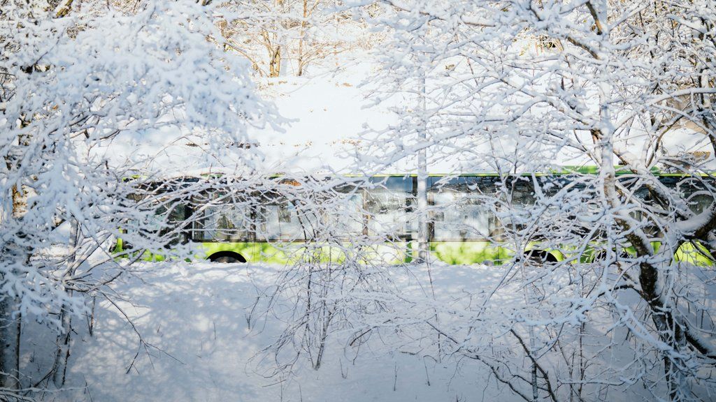 En grønn regionbuss synes gjennom snødekte grener