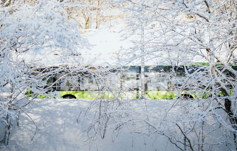 En grønn regionbuss synes gjennom snødekte grener