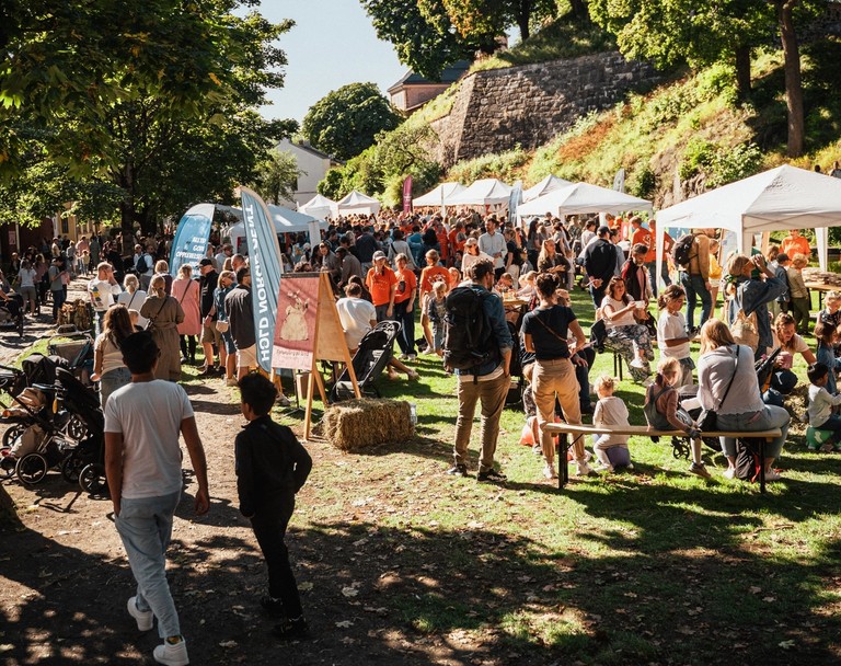 Picture of people attending an event at a park, in sunlight