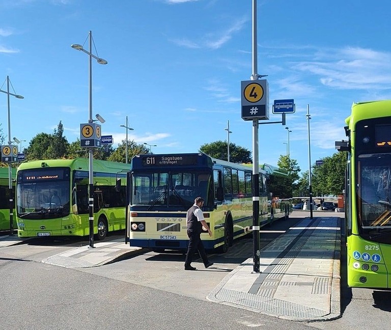 Veteran bus