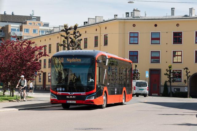 Rød buss kjører i nabolag med blokker