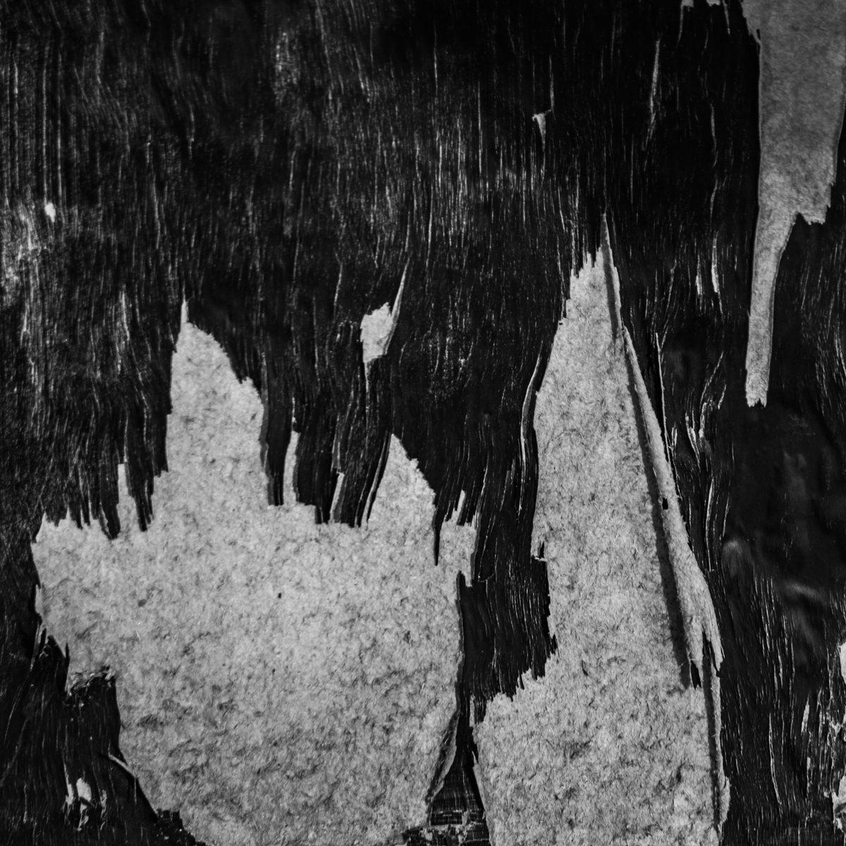 Ragged black strokes tear across a pale granular surface, leaving rough-edged islands of grey.