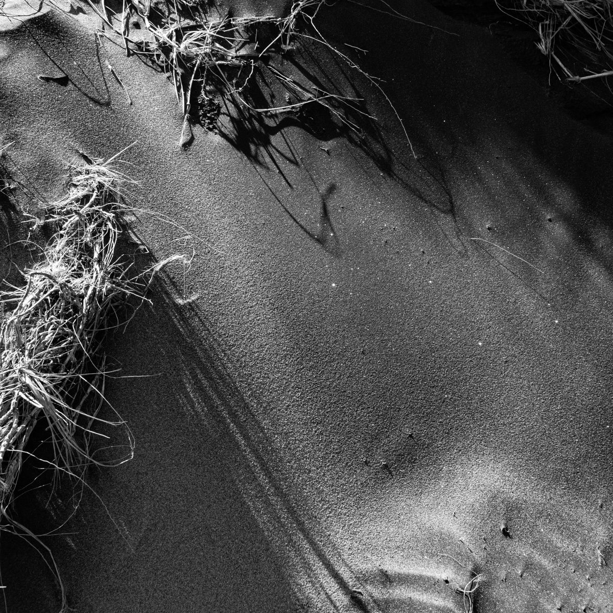 Black and white: fine grey grain slopes diagonally, with tufts of pale wiry strands and soft ridges casting shadows.