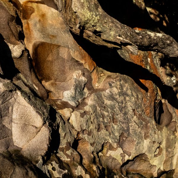 Folded, eroded forms of ochre, orange and grey, patched with pale spots and carved by deep shadows.