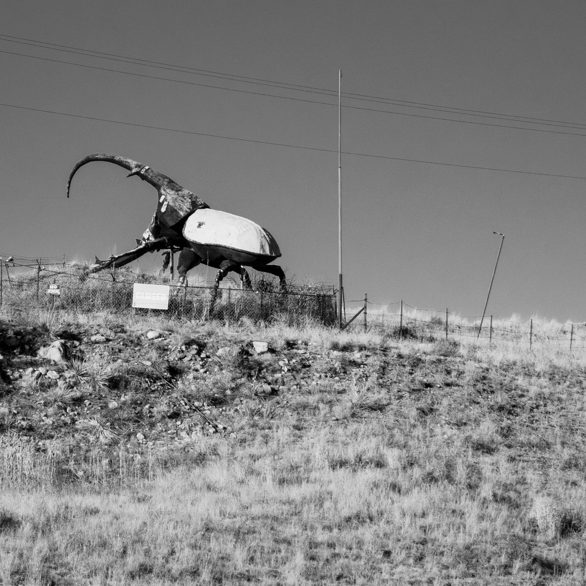 A huge horned silhouette stands on a dry hilltop under pale grey, thin lines strung across the top.