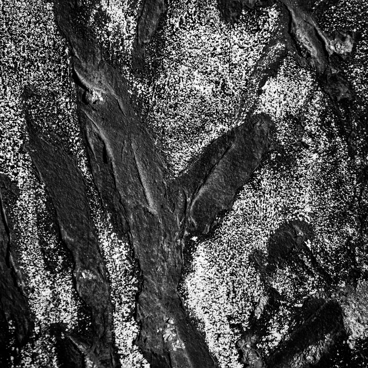 Dark sweeping shapes crowd together beneath a spray of bright white speckles.
