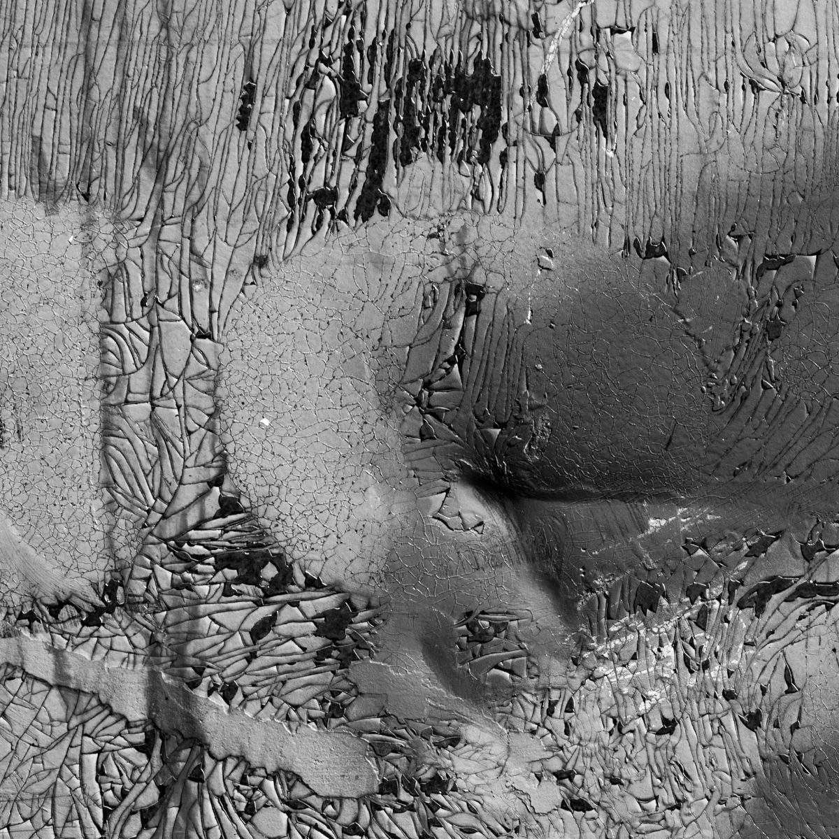 A grey surface crazed with thousands of fine cracks, some areas curling up in flakes, others smooth and swollen.