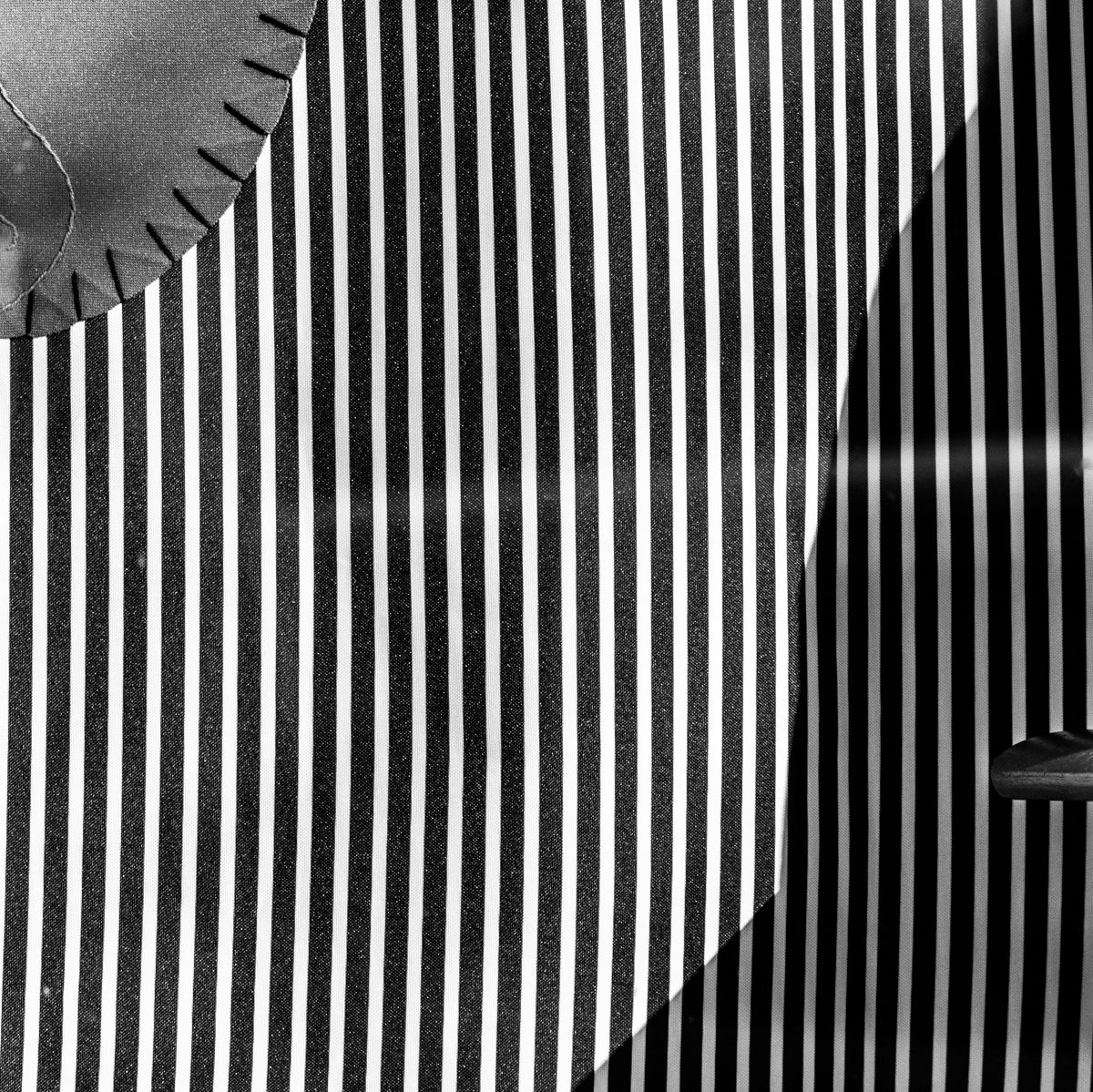 Tight black and white verticals curve away under a great sweep of shadow, with a notched dark arc in the corner.