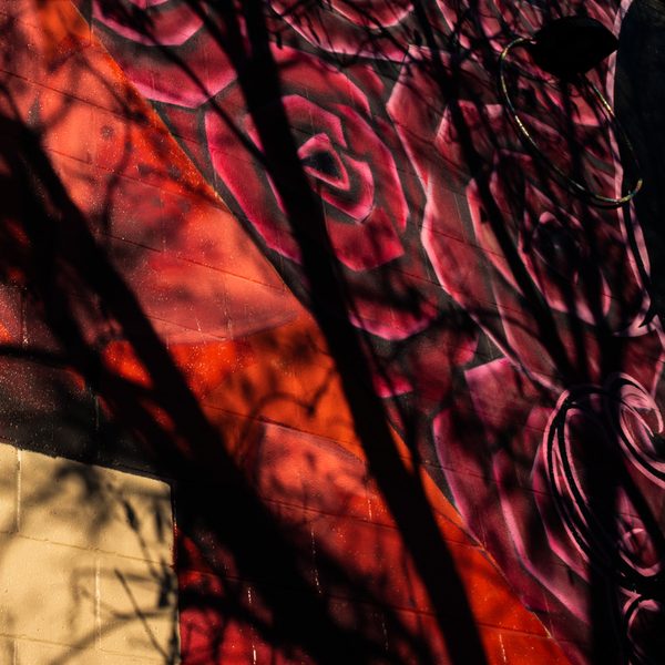 Dark diagonal bars cut across swirling rose red and orange patterns, with a pale cream block at the lower left.