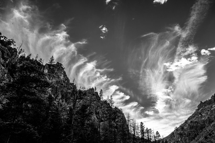 Black and white: a jagged, forested canyon rim under wispy streaks of cloud.