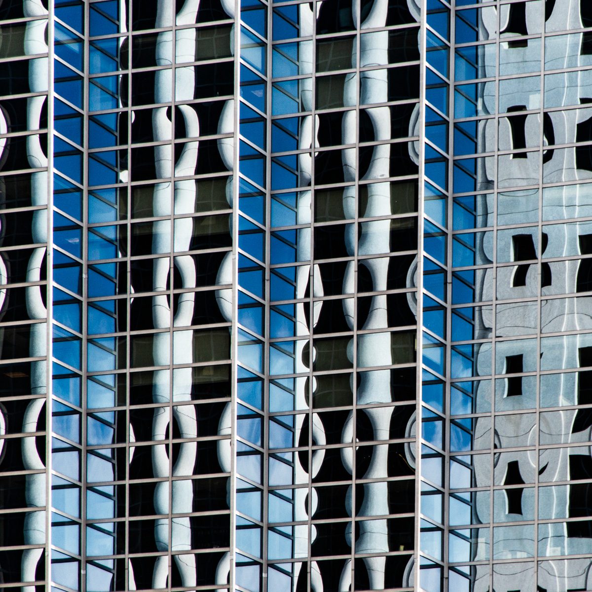A tight grid of thin grey lines over tall strips of blue, white and black, with curved white shapes repeating down each strip.