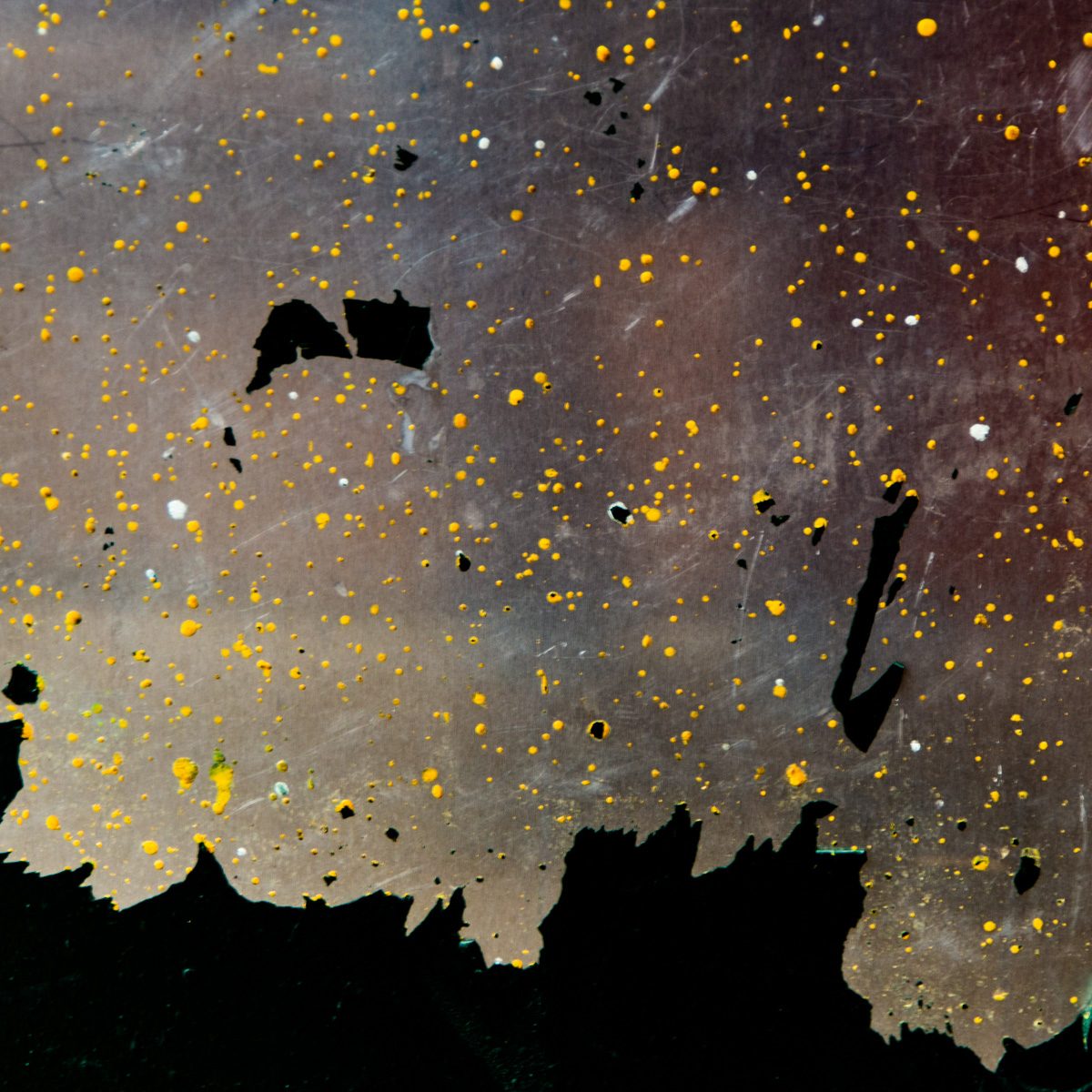 Hundreds of small yellow and white dots scattered over a muddy grey ground, with ragged black shapes creeping up from the bottom.