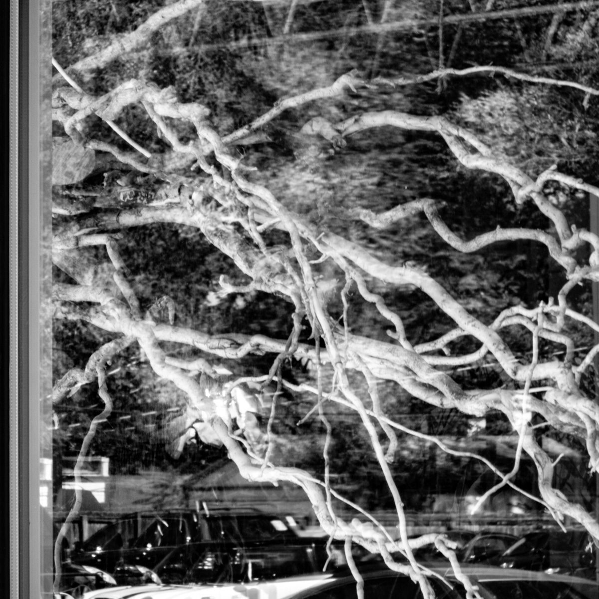 Black and white: pale twisting lines spread across the picture over a dark, busy ground, bounded by a grey vertical edge at the left.