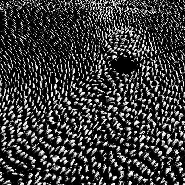 Hundreds of small white ovals on black, swirling around a single dark empty spot.