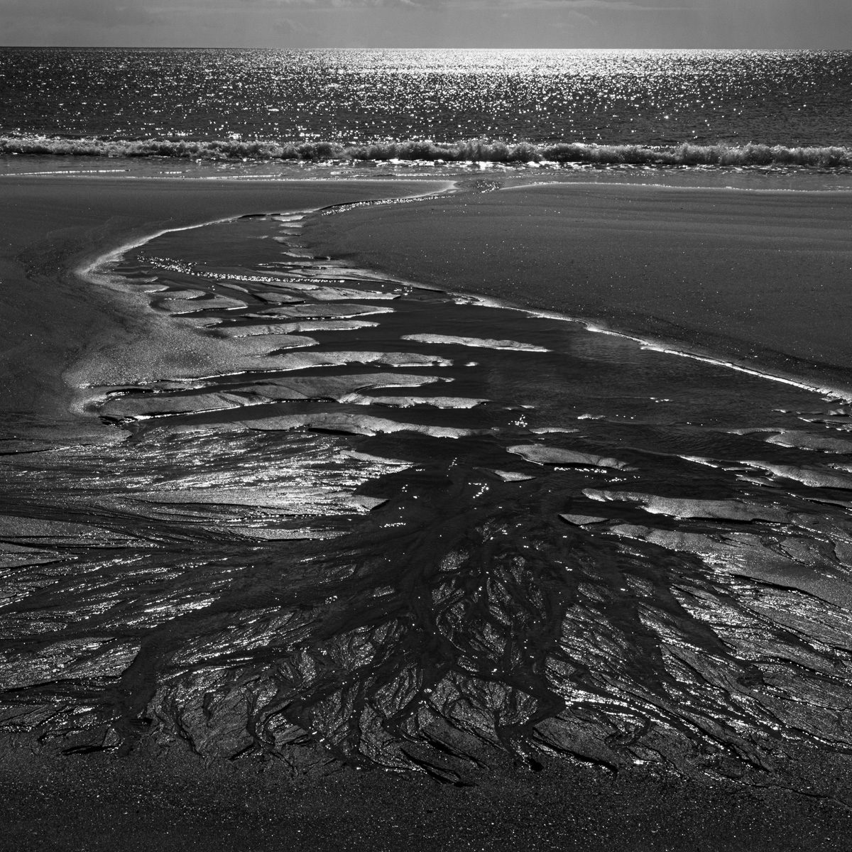 Black and white: a tidal stream fans out in branching channels across wet sand toward glittering surf.
