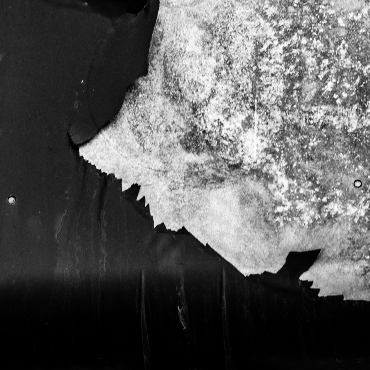 A pale mottled shape with a jagged lower edge pushes into deep black.