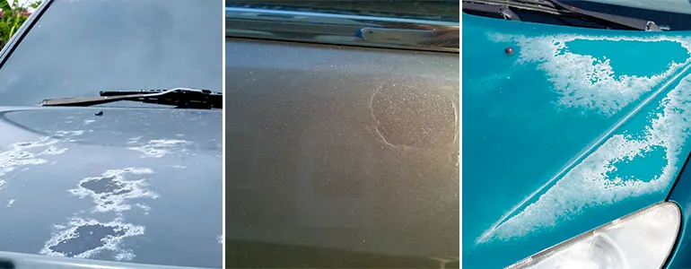 καμμενο βερνικι φωτηογραφιες