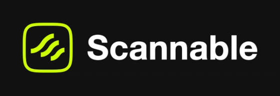 Scannable logo