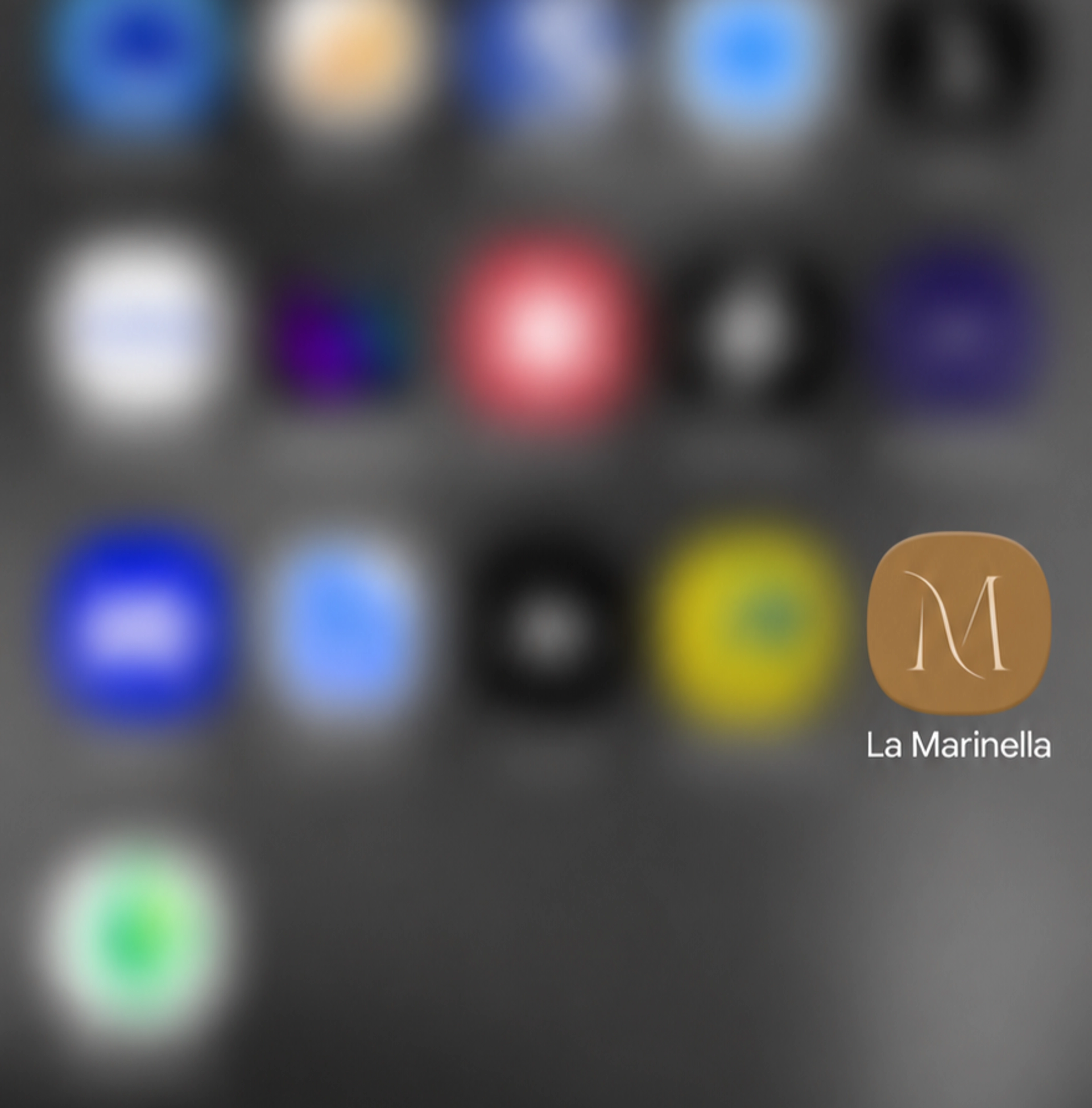 Logo gelateria la marinella installato sul telefono