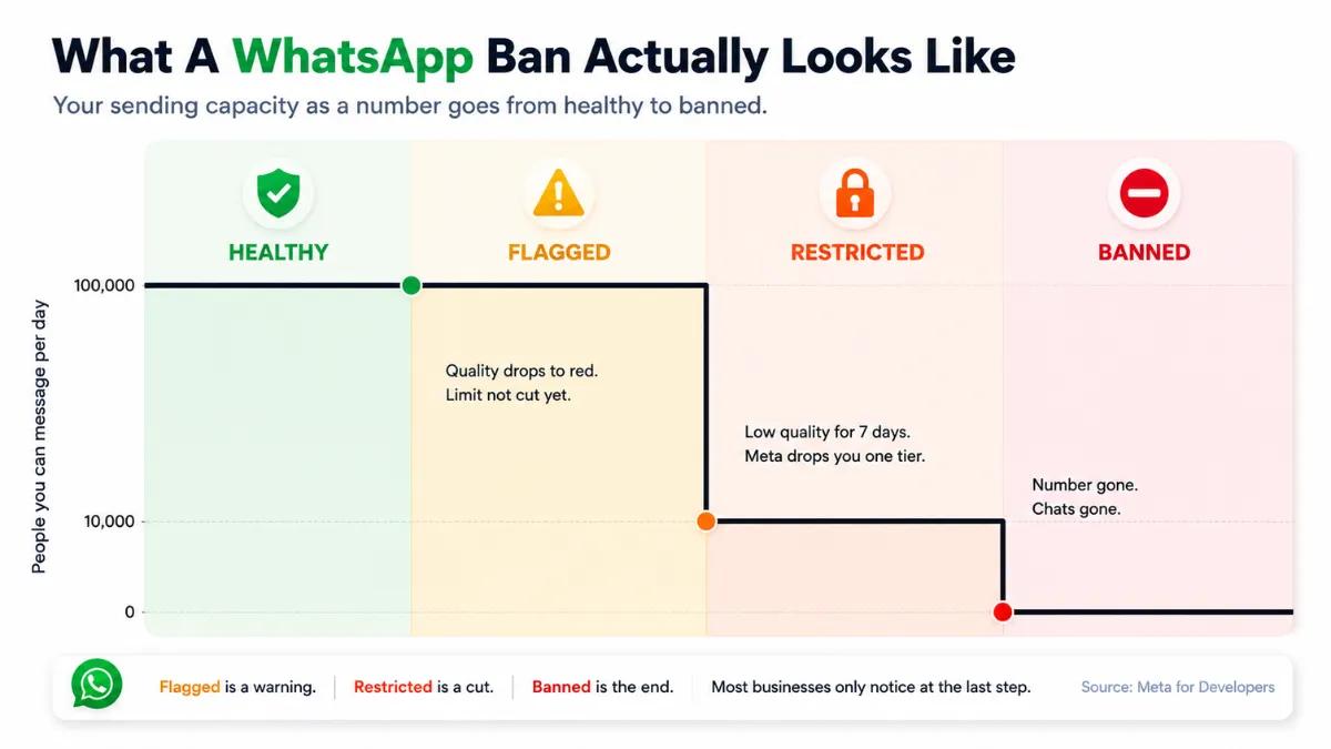 WhatsApp ban stages chart