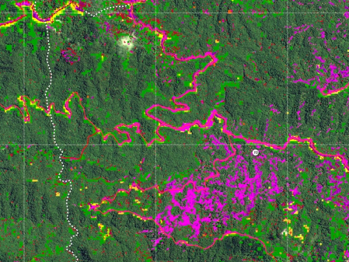 Open Forests Forest management map: deforestation analysis 2017