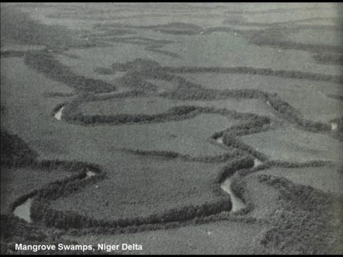 But it's not only about humility. They were also interested in the tropics as a special domain, which is now the front line of the tensions and impossibilities that we are confronted with.