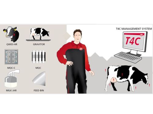 Animal husbandry is increasingly automated. You probably know this, but you probably don’t know how it is done.