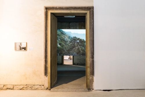 Wishing Trees by Uriel Orlow