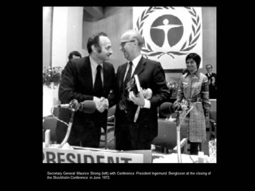 the first international conference about international environmental issues