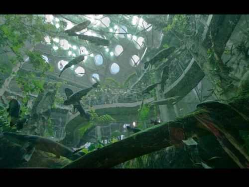 A question that doesn't seem to be asked is: is it all so necessary? And, do we need more aquariums? We have a kind of Parthenon with a planetarium, a piazza, and a rainforest. I would politely submit that it is not a Parthenon.