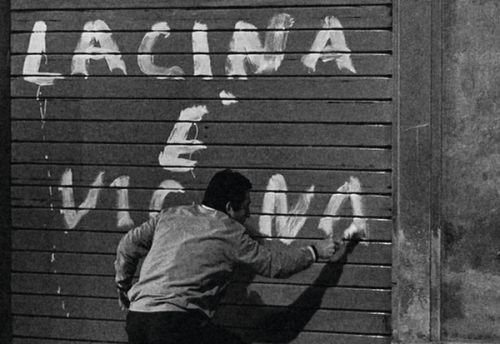 La Cina è vicina, Marco Bellocchio, Bologna, 1967