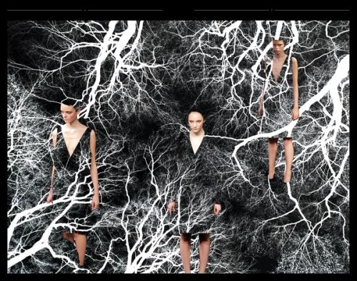 2009 FW Prada Real Fantasies, photography, digital collage and digital illustration