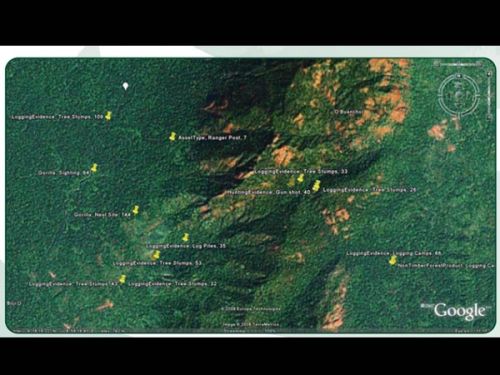 ...where digital informers notice gorilla’s, their nests, and notice evidence of illegal logging. Basically every square meter of this terra incognita is extremely well known and better known than many parts of the city, but we of course don’t know that it is known.