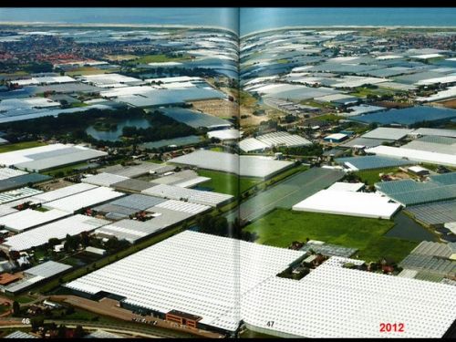 This colossal new order consists of more rigor than we have ever seen appearing everywhere.