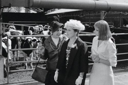 La bella di Lodi, Mario Missiroli, the Lodi countryside, 1963