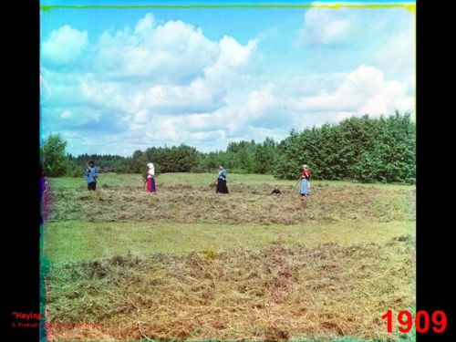 It’s probably as plausible as a nuclear scientist giving a lecture about wind mills as it is for me to give a lecture about the countryside. But that is what I am going to do tonight. It’s the first time and I hope you will understand by the end of the presentation why I think it is an urgent subject.